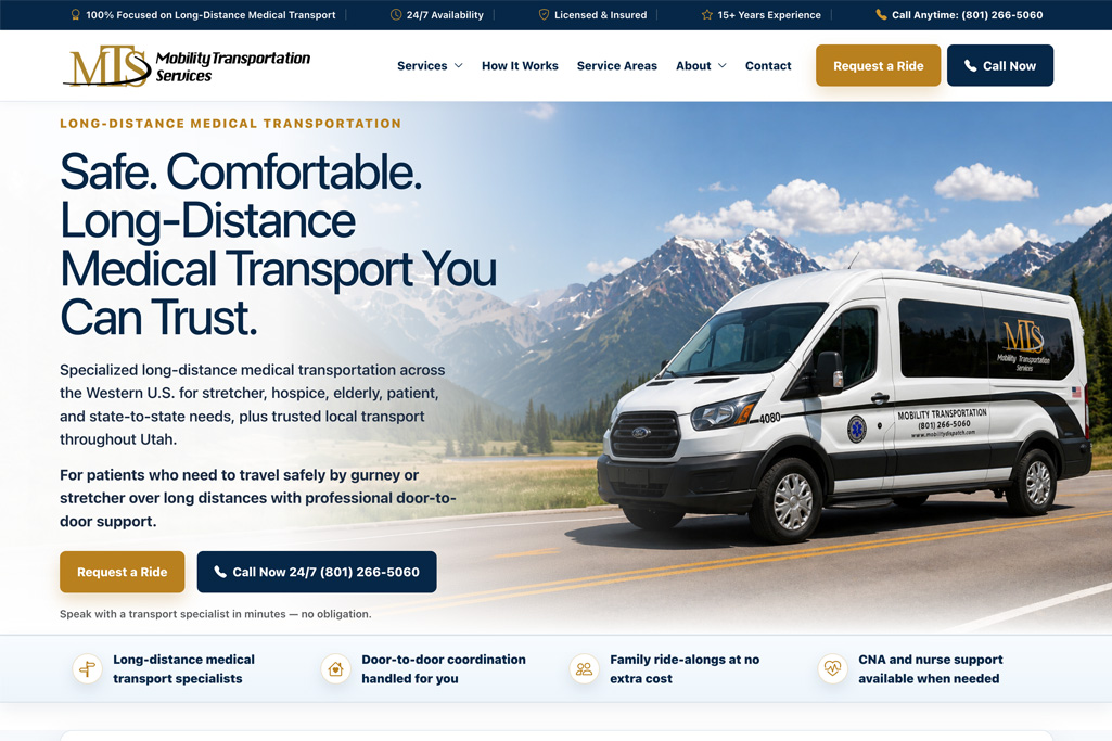 Modern business website and platform